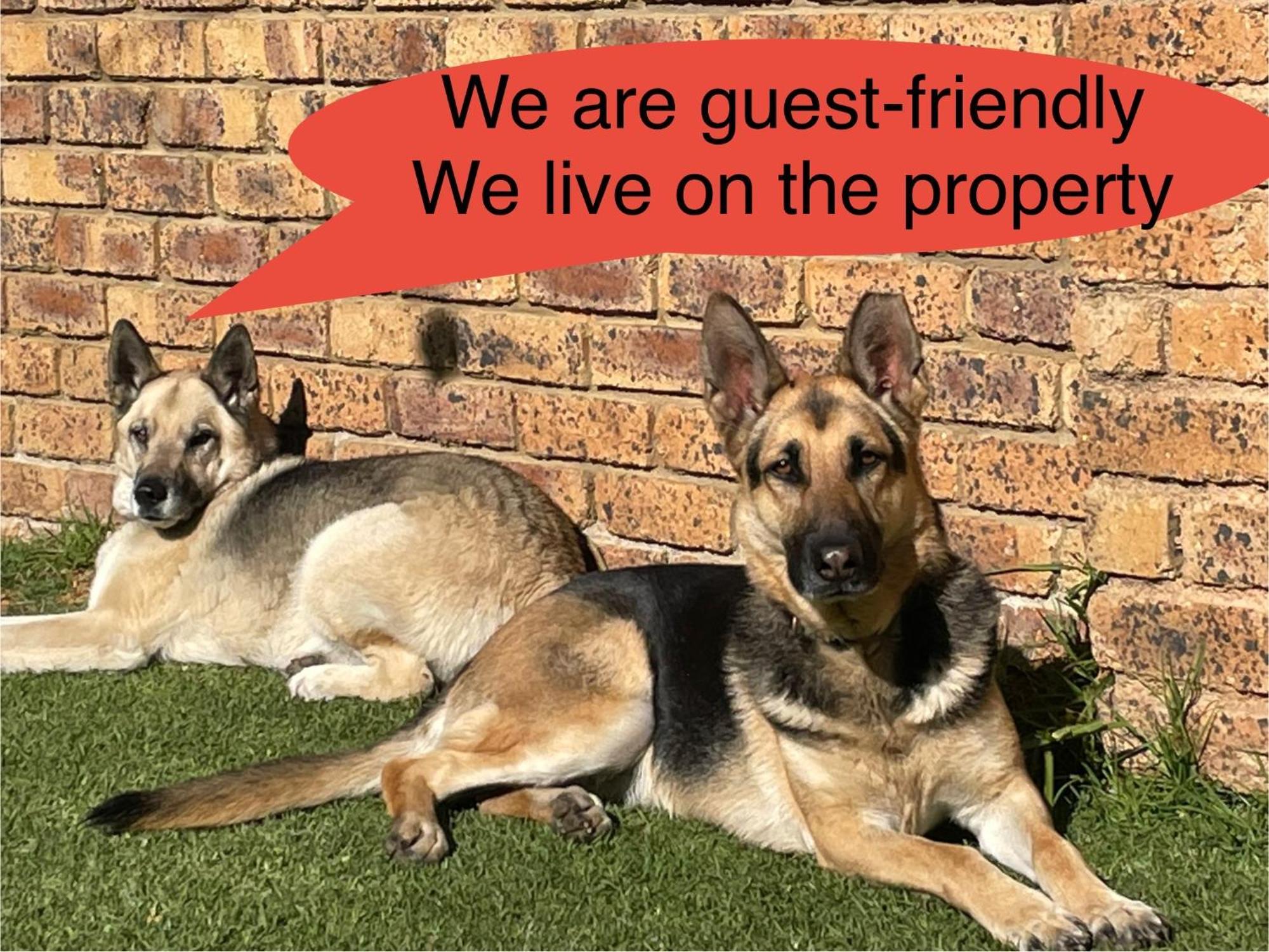 Celtis Lane Guest House Boksburg Exteriér fotografie
